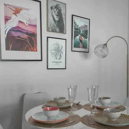 Apartman Lumineux De 50m2 Avec Terrasse Strasbourg